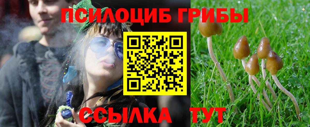 Галлюциногенные грибы MAGIC MUSHROOMS Назарово